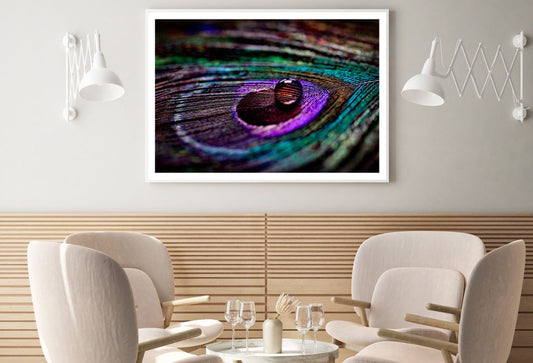 Waterdrops on Peacock Feathers Photograph Home Decor Premium Quality Poster Print Choose Your Sizes