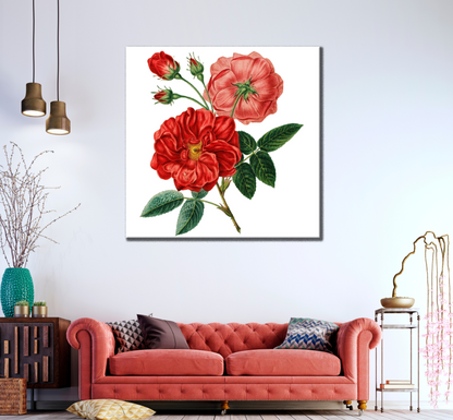 Square Canvas Red Flowers Closeup Painting High Quality Print 100% Australian Made