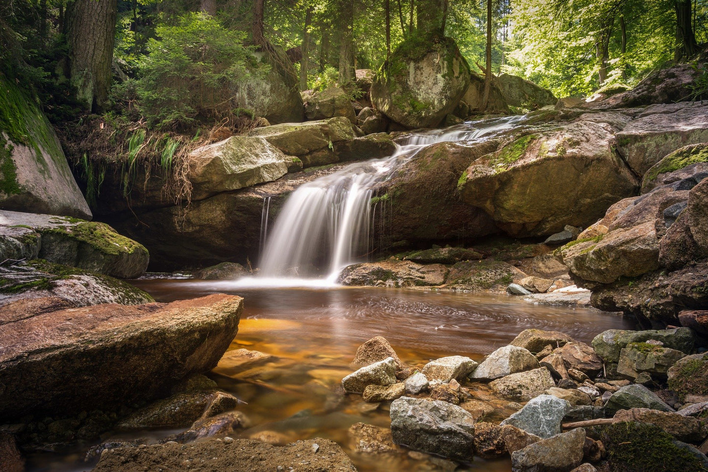 Stunning Water Stream in Forest Photograph Print 100% Australian Made