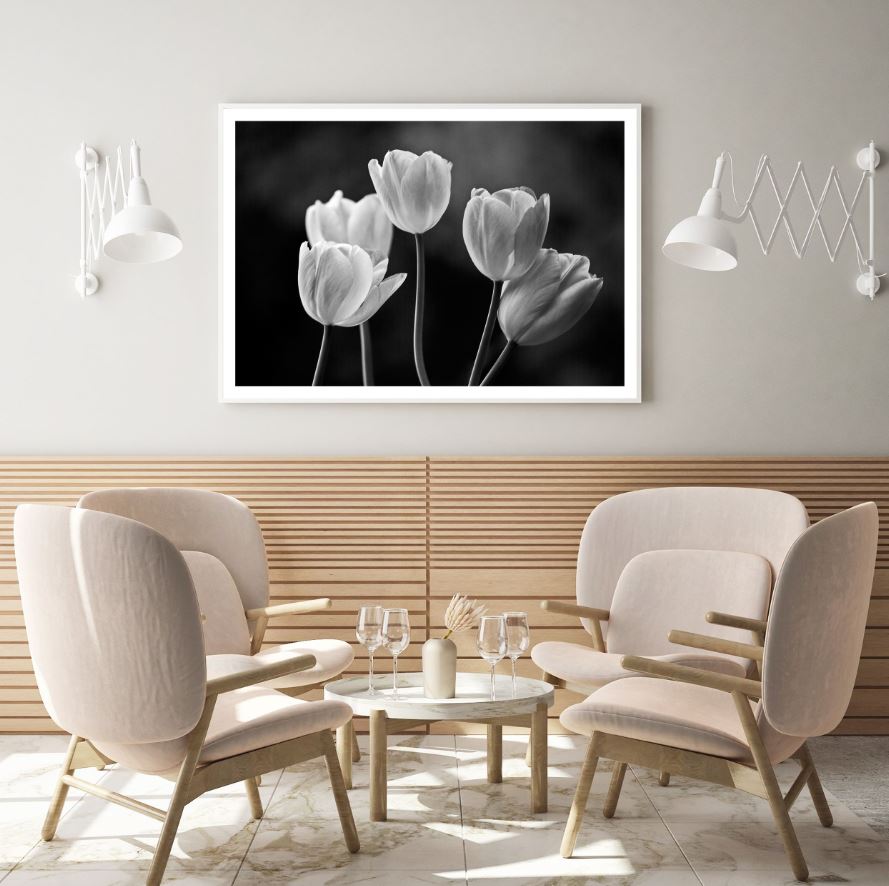 B&W Tulips Photograph Home Decor Premium Quality Poster Print Choose Your Sizes