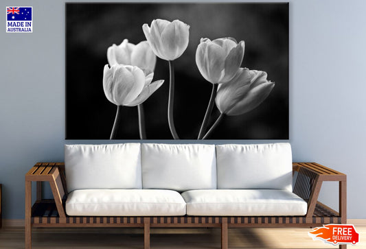 B&W Tulips Photograph Print 100% Australian Made