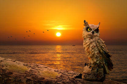 Owl Near Sunset Sea Scenery View Home Decor Premium Quality Poster Print Choose Your Sizes