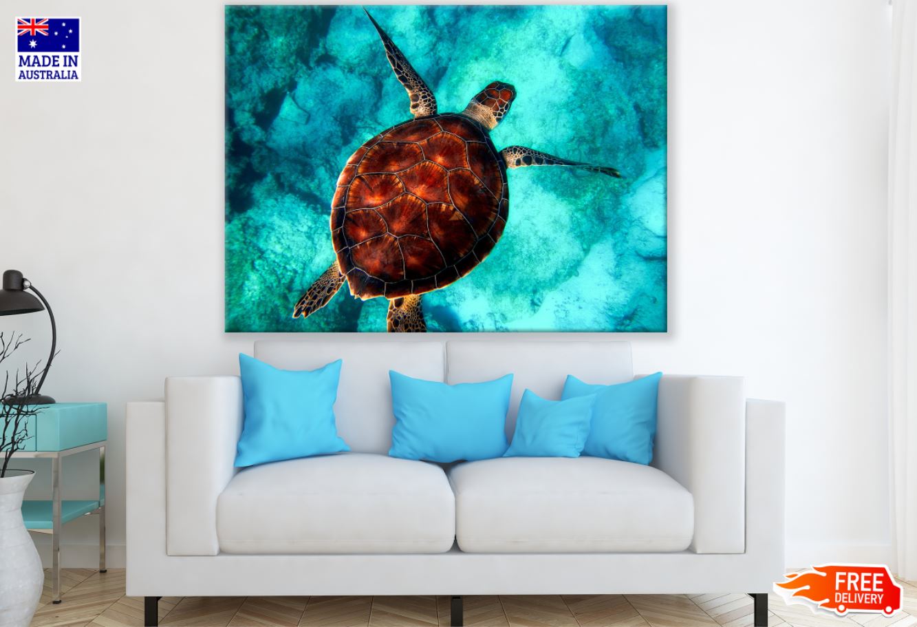 Turtle in Sea Aerial Photograph Print 100% Australian Made