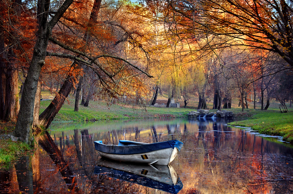 Boat on Forest Pond Photograph Home Decor Premium Quality Poster Print Choose Your Sizes