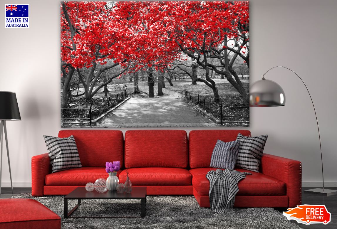 B&W Trees with Red Leaves Photograph Print 100% Australian Made