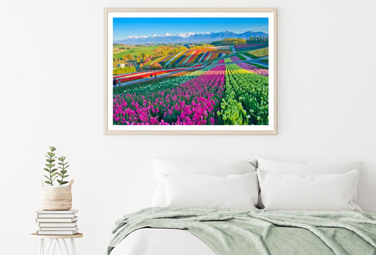 Colorful Tulips Field Photograph Home Decor Premium Quality Poster Print Choose Your Sizes