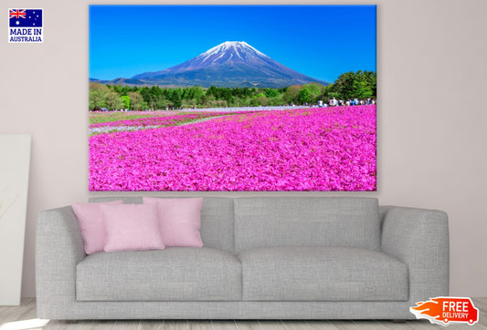 Pink Flower Field & Mountain Scenery Photograph Print 100% Australian Made