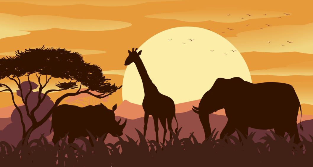 Wild Animals at sunset Vector Design Print 100% Australian Made