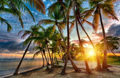 Stunning Island View with Trees Sunset Photograph Print 100% Australian Made