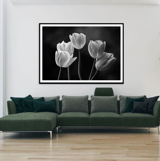 Tulip Flowers B&W Photograph Home Decor Premium Quality Poster Print Choose Your Sizes