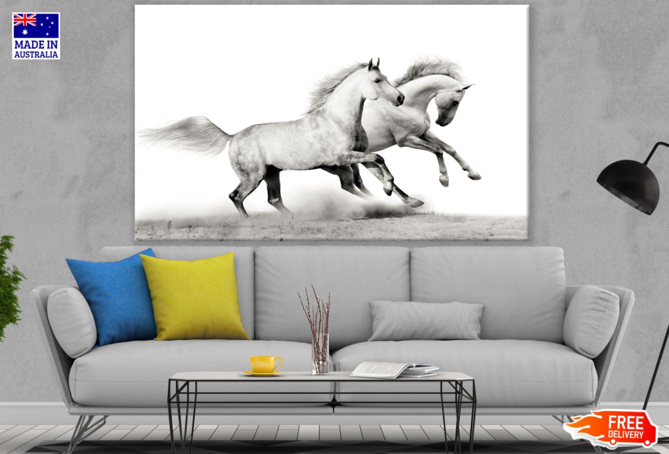 Running Horses B&W Photograph Print 100% Australian Made