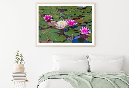 Lotus Flowers on Lake Photograph Home Decor Premium Quality Poster Print Choose Your Sizes