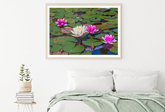 Lotus Flowers on Lake Photograph Home Decor Premium Quality Poster Print Choose Your Sizes