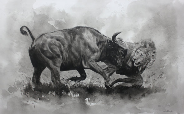 Buffalo & Lion Fighting B&W Painting Print 100% Australian Made
