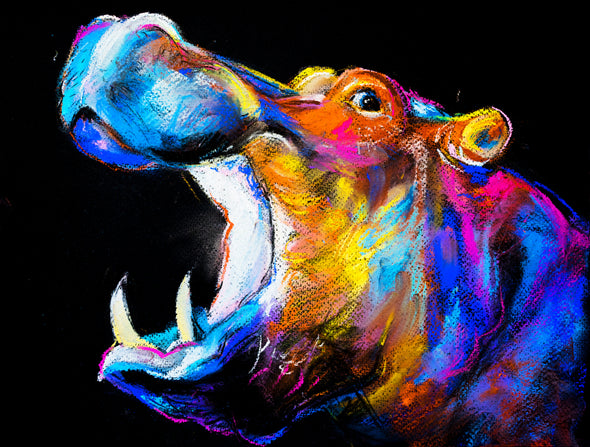 Coloured Hippopotamus Portrait Drawing Print 100% Australian Made
