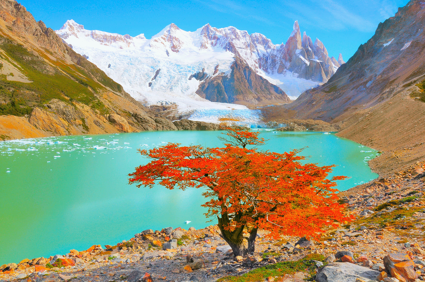 Autumn Tree by the Lake near Cerro Torre Mountain Print 100% Australian Made