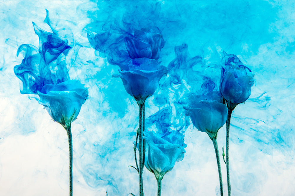 Blue Roses Abstract DesignPrint 100% Australian Made