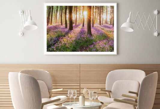 Sunrays in Forest Photograph Home Decor Premium Quality Poster Print Choose Your Sizes