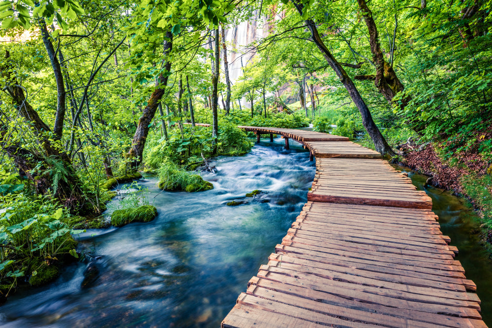 Wooden Pier Over River Photograph Home Decor Premium Quality Poster Print Choose Your Sizes