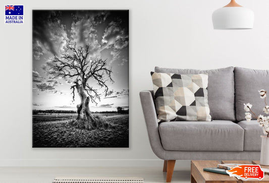 Alone Tree B&W Photograph Print 100% Australian Made