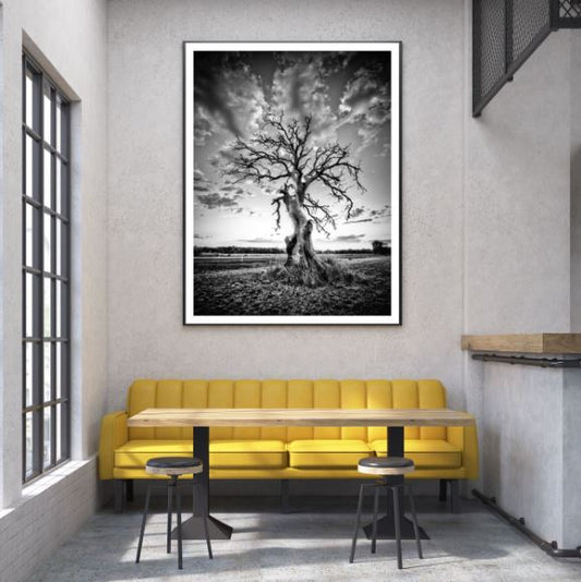 Dead Tree Closeup B&W Photograph Home Decor Premium Quality Poster Print Choose Your Sizes