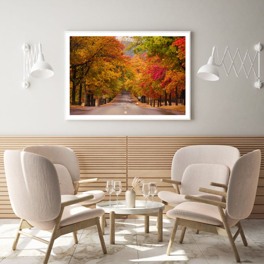 Road in Autumn Forest Photograph Home Decor Premium Quality Poster Print Choose Your Sizes