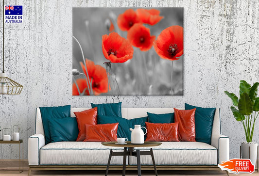 Red Flowers & B&W Photograph Print 100% Australian Made