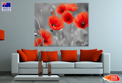 Red Flowers & B&W Photograph Print 100% Australian Made