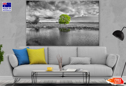 Tree in a Lake B&W Photograph Print 100% Australian Made