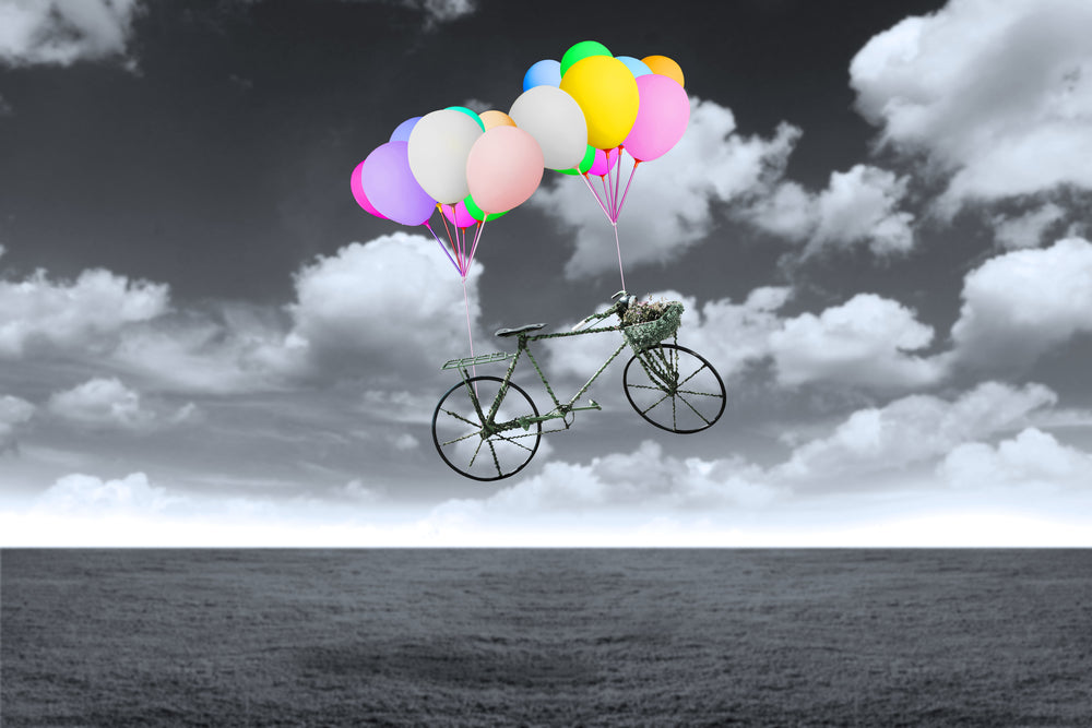 Floating Bicycle with Colorful Balloons B&W Print 100% Australian Made