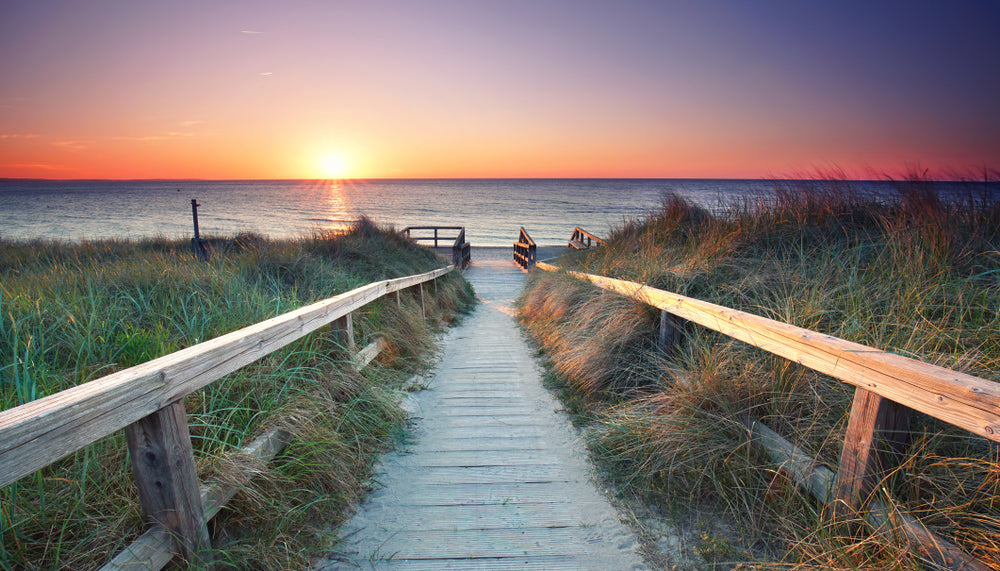 Wooden Path to Beach Photograph Home Decor Premium Quality Poster Print Choose Your Sizes