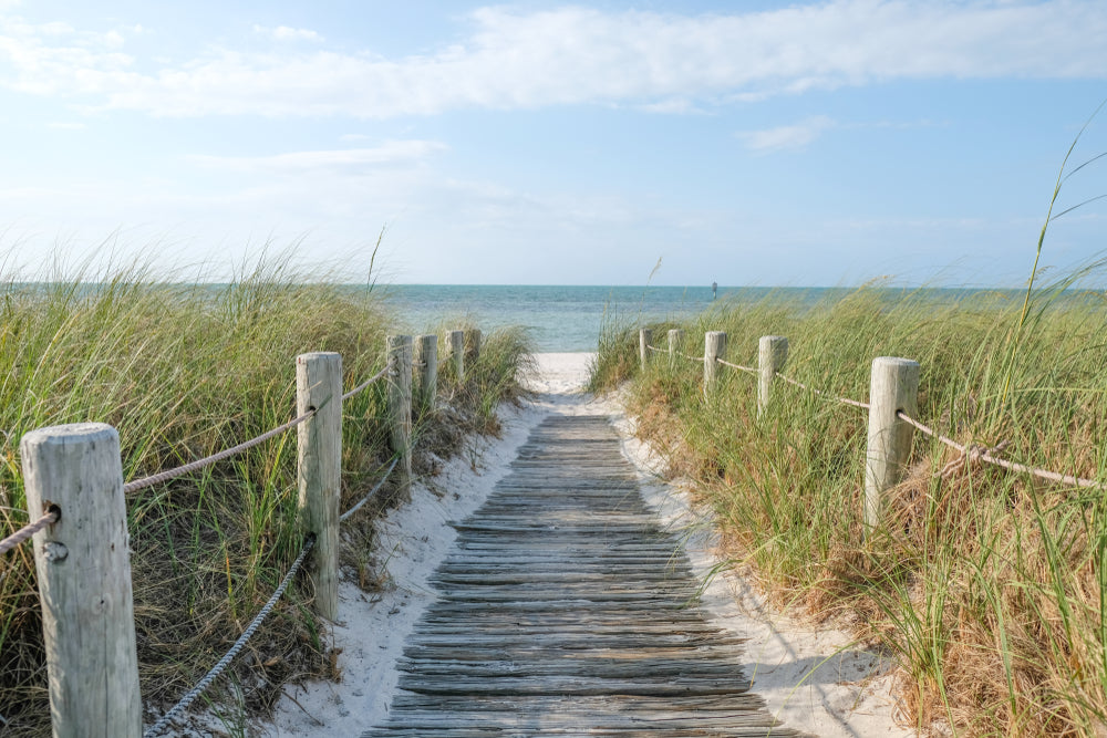 Road to Beach with a Fence Print 100% Australian Made