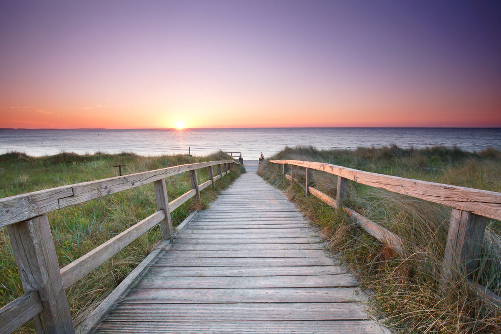 Wooden Path to Beach Photograph Home Decor Premium Quality Poster Print Choose Your Sizes