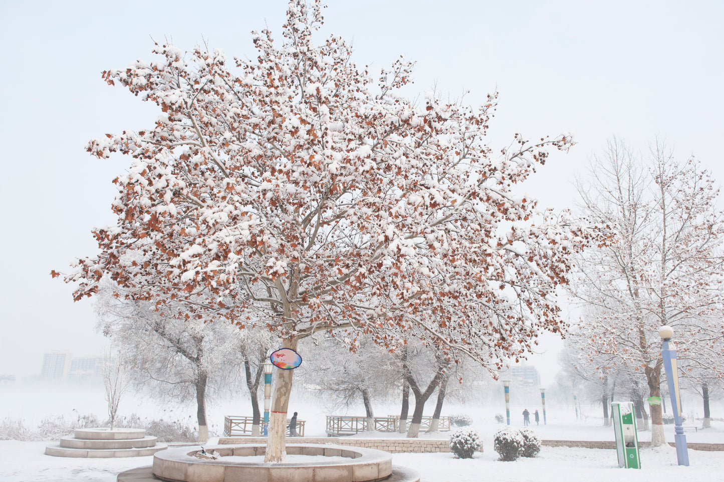 Snow Covered Park Photograph Home Decor Premium Quality Poster Print Choose Your Sizes