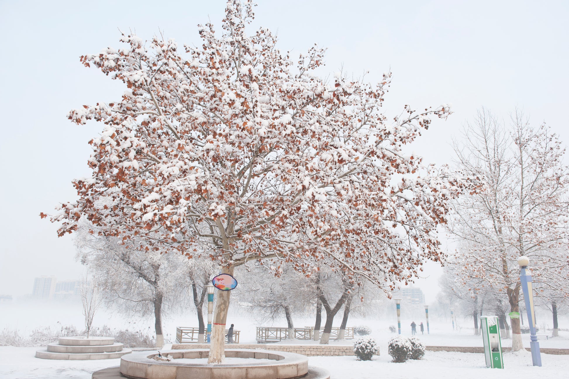 Snow Covered Park Photograph Home Decor Premium Quality Poster Print Choose Your Sizes