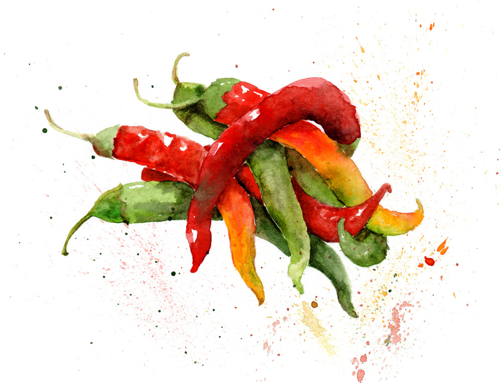 Red & Green Chilies Spice Painting Print 100% Australian Made