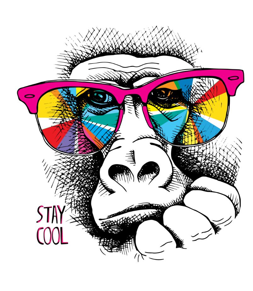 B&W Monkey face with Colourful Sunglass Painting Print 100% Australian Made