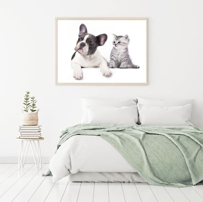 Puppy & Kitten Closeup Photograph Home Decor Premium Quality Poster Print Choose Your Sizes