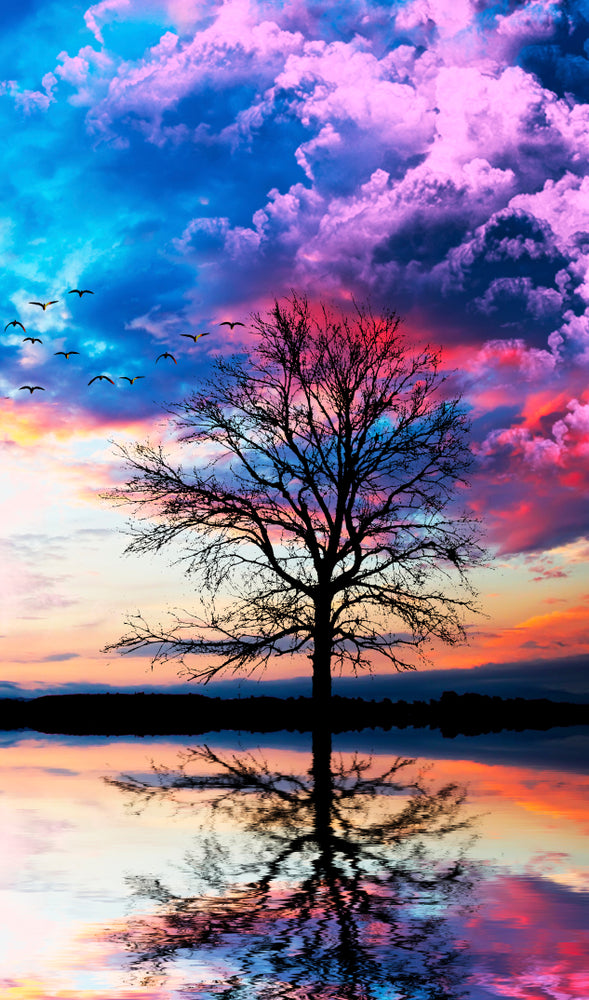 Tree in a Lake under Colourful Cloudy Sky Photograph Print 100% Australian Made