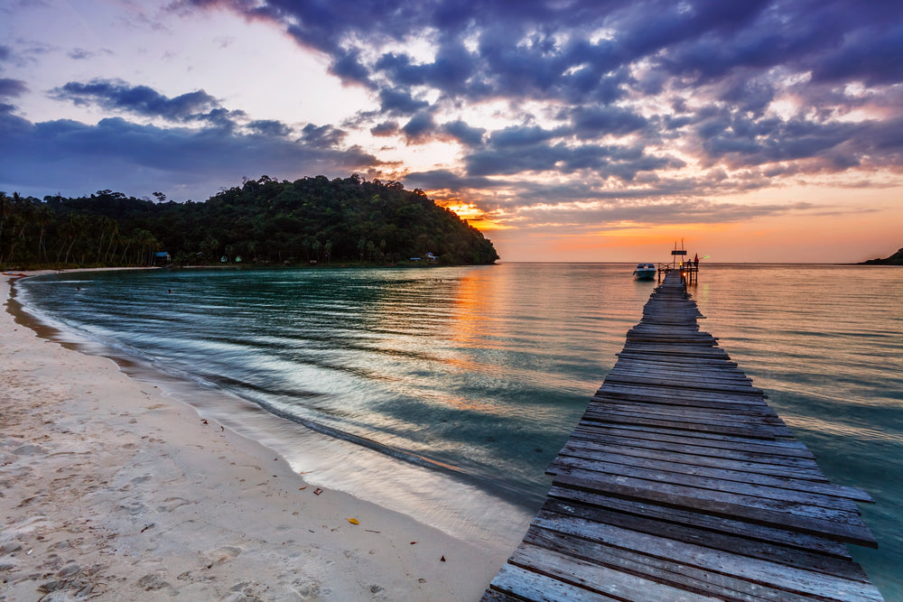 Pier on Beach Forest Photograph Print 100% Australian Made