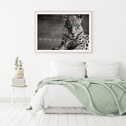 Leopard with Blue Eyes B&W View Home Decor Premium Quality Poster Print Choose Your Sizes