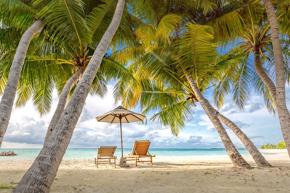 Exotic Beach with Trees Photograph Print 100% Australian Made