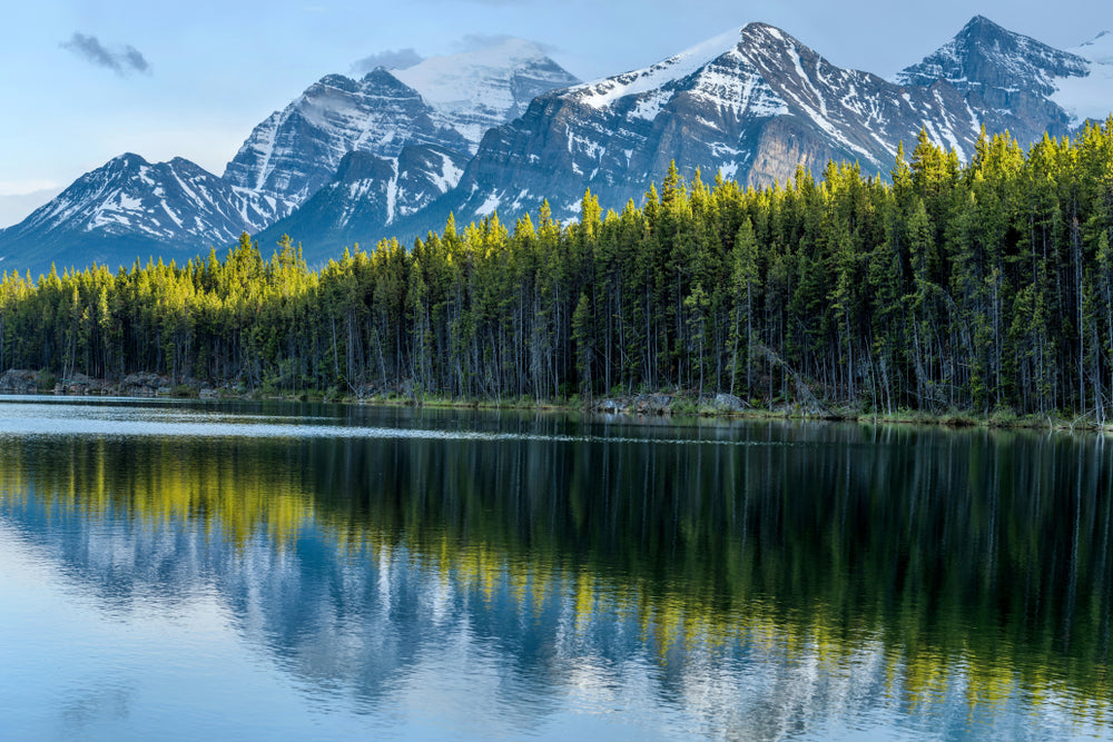 Lake & Forest Scenery Photograph Home Decor Premium Quality Poster Print Choose Your Sizes