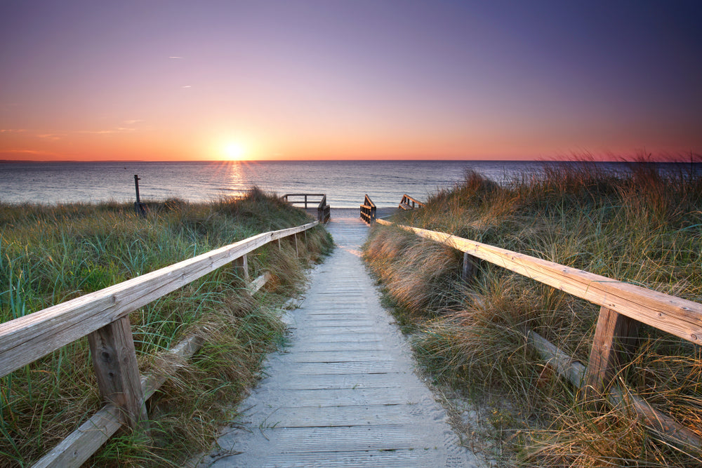 Wooden Path to Beach Photograph Print 100% Australian Made