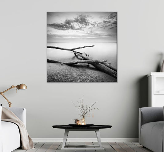 Square Canvas Tree Trunks on Sea Shore B&W Photograph High Quality Print 100% Australian Made