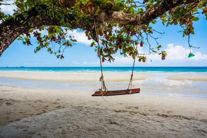 Swing & Tree on Beach Photograph Print 100% Australian Made