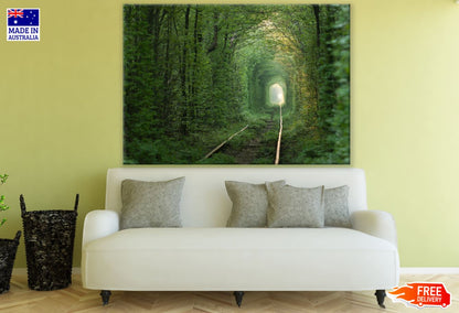 Rail Tracks Covered with Grass Photograph Print 100% Australian Made