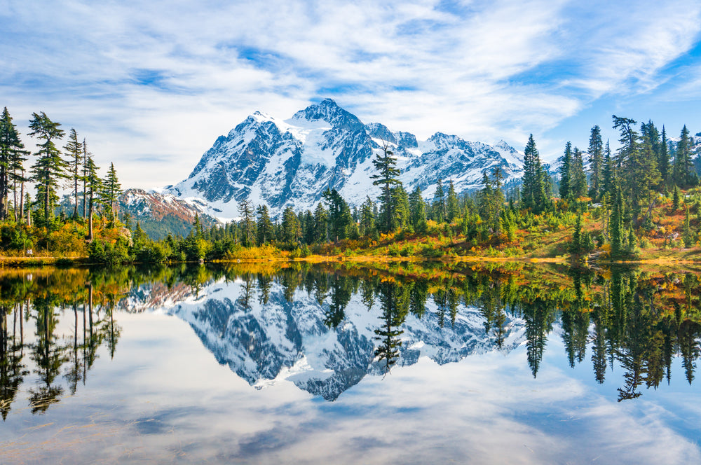 Lake & Forest Scenery Photograph Home Decor Premium Quality Poster Print Choose Your Sizes