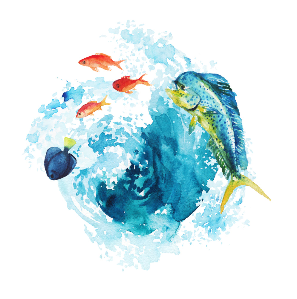 Square Canvas Fish & Sea Oil Painting High Quality Print 100% Australian Made