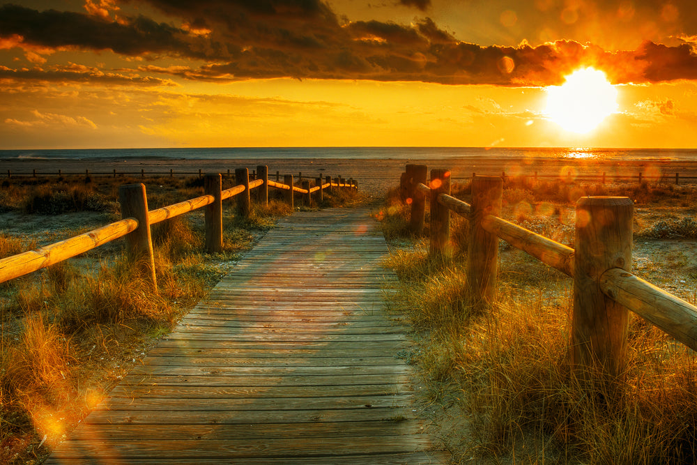 Wooden Road to Beach with Fence Photograph Print 100% Australian Made